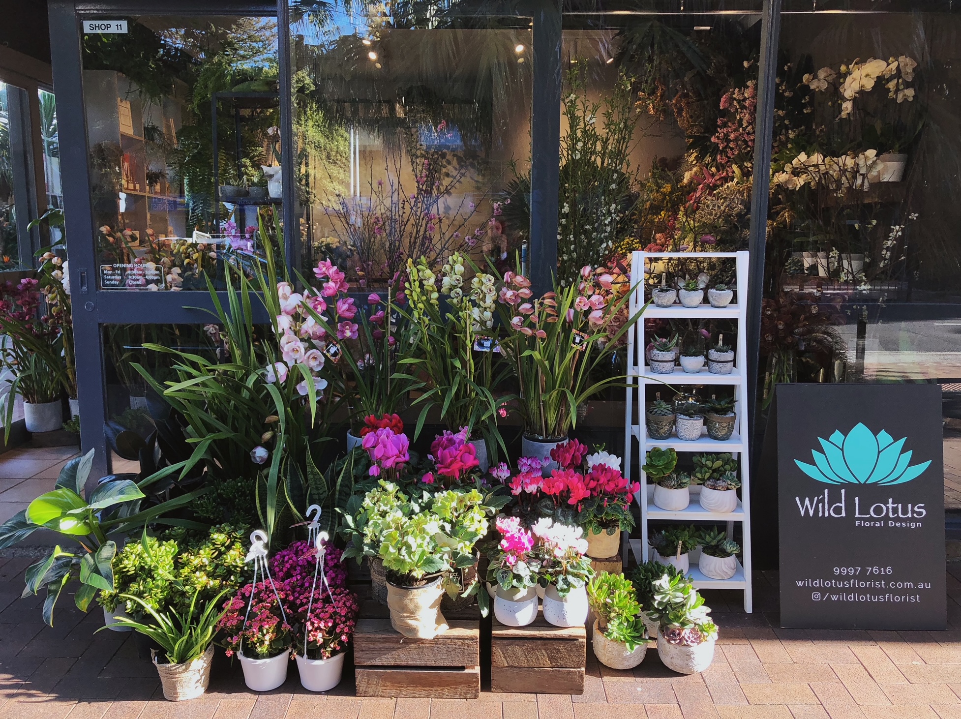 About Wild Lotus Florist Northern Beaches Wild Lotus Florist Sydney